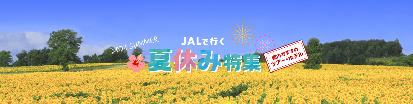 JAL国内ツアー-JALで行く-夏休み特集-国内ツアー・旅行ならJALパック